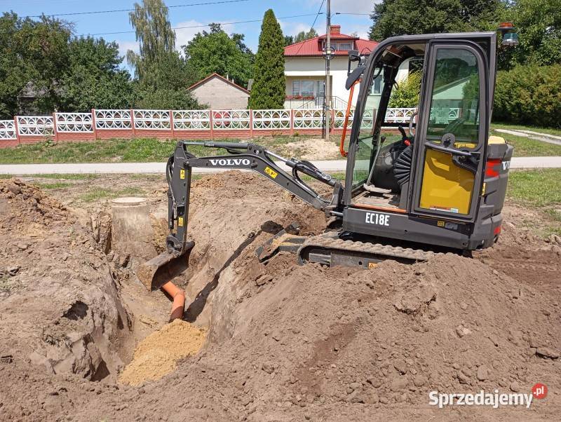 Wynajem profesjonalnego Wertykulatora Weibang sprzedam