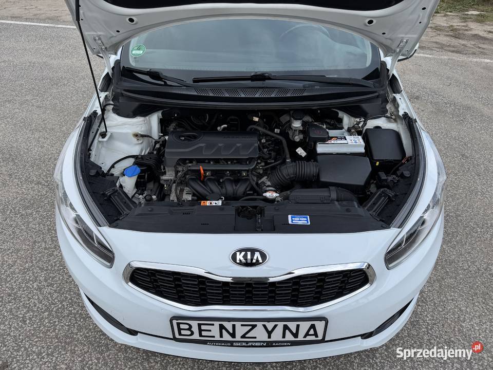 Kia Ceed 14 BENZYNA Klimatyzacja Nawigacja światła przeciwmgielne wielkopolskie Konin