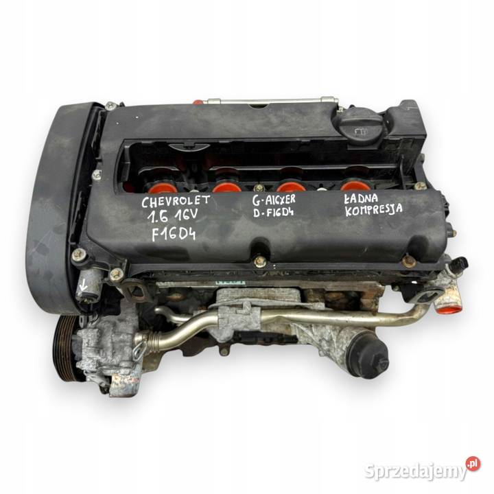 SILNIK F16D4 Chevrolet Cruze Aveo T300 16 16V Chełm sprzedam