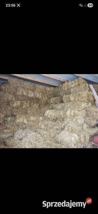 Słoma 2025 sucha Krasnobród