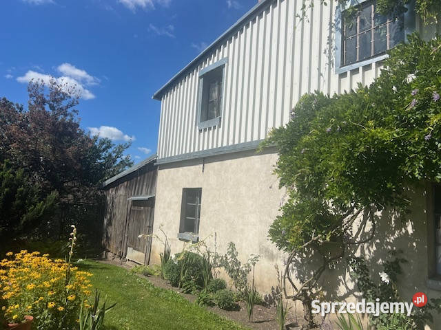 Syndyk sprzeda udział w wysokości 14 Kłodowo