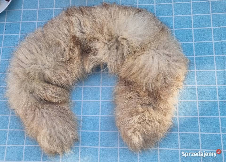 Kołnierz skórki lis norka i inne sprzedam