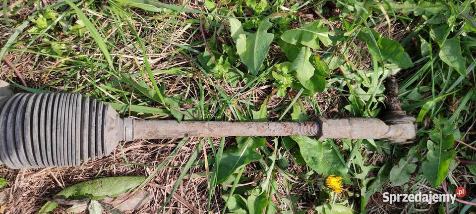 Maglownica golf IV Rumianek