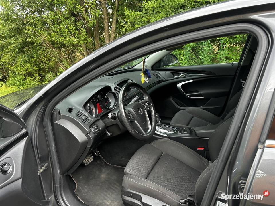 Opel Insignia kurtyny powietrzne Rogoźno