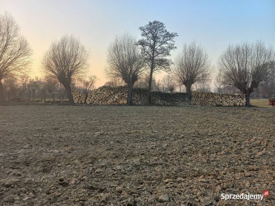 Drewno opałowe kominkowe liściaste Świniary