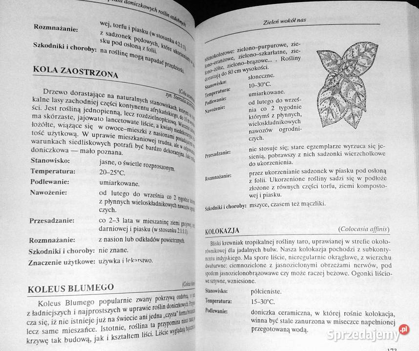Mała encyklopedia doniczkowych roślin ozdobnych