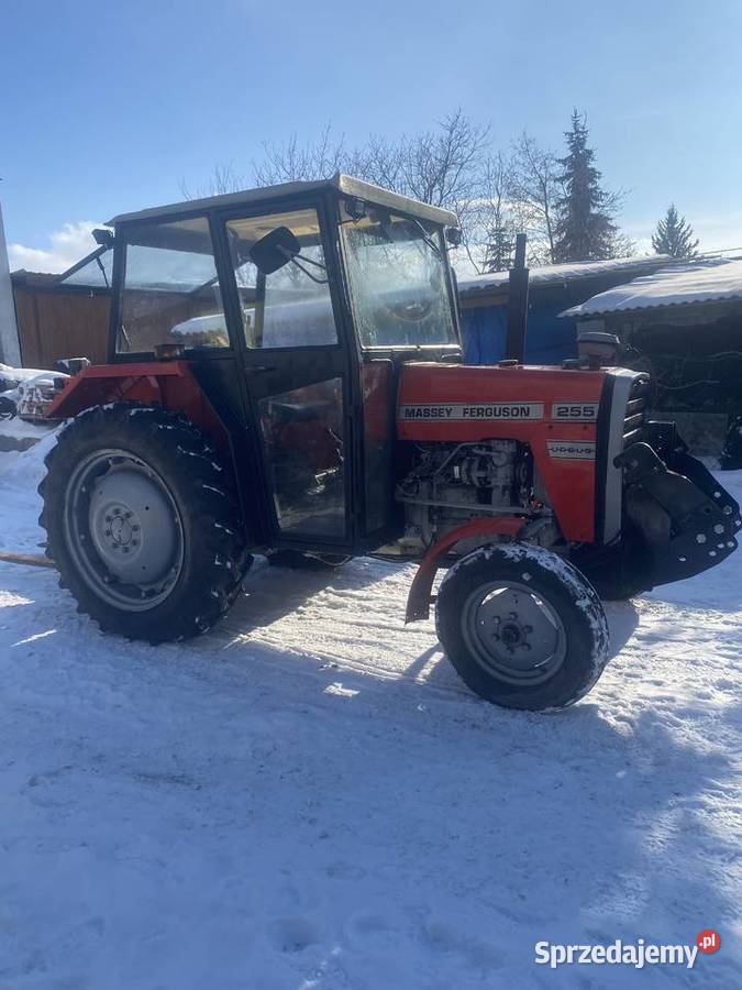 Ciągnik Ursus MF255 Massey Ferguson Ursus Chełm