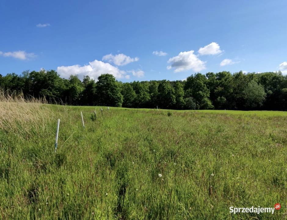 Działka budowlana Dąbie gmina Raciechowice sprzedam