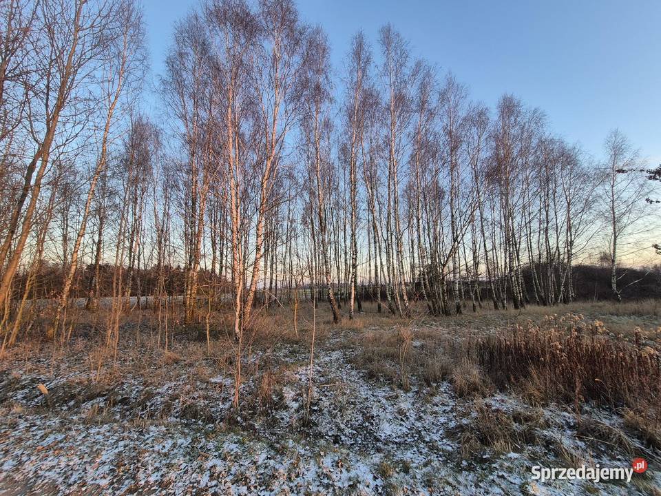 Ziemia rolna Stara Błotnica