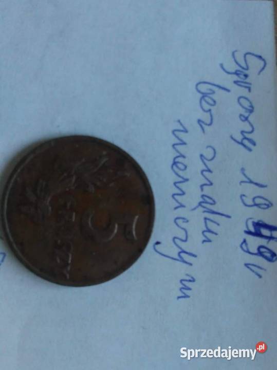 5gr Z lat PRelu Warszawa