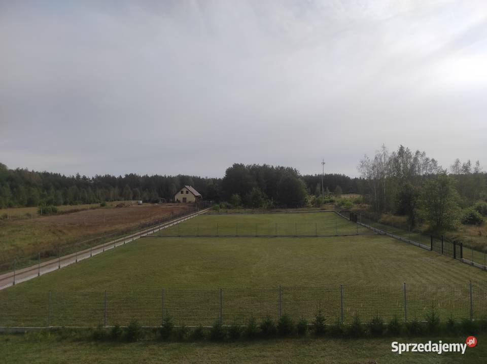Dwie działki budowlane ogrodzone Płaska 16326