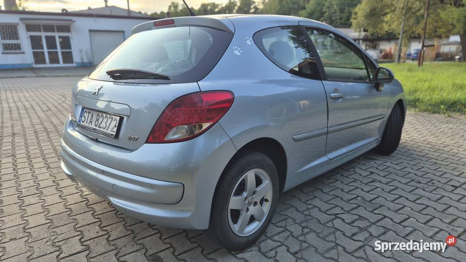 Peugeot 207 komputer pokładowy Niezdara