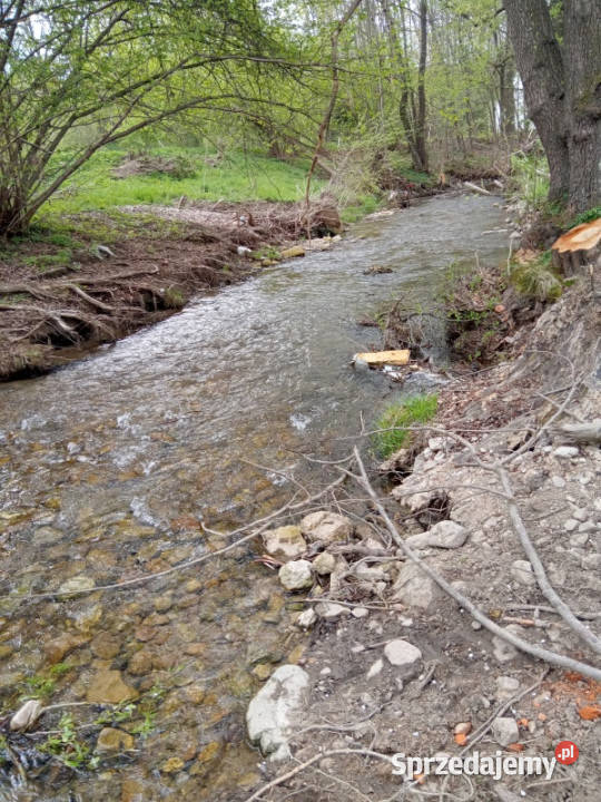 Na sprzedaż działka rolna Wilkanów