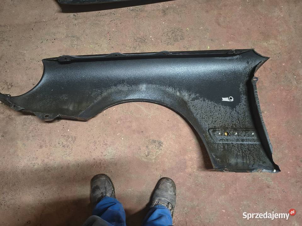 Błotniki w 210 śląskie Paniówki sprzedam