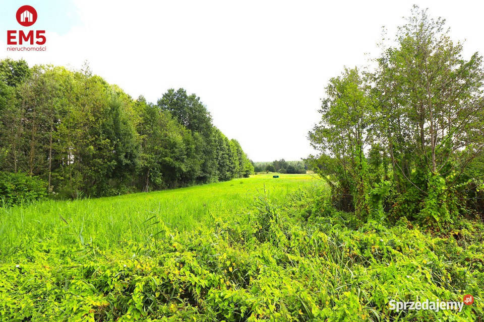 sprzedaży lokalu 180m2 Mołowiste