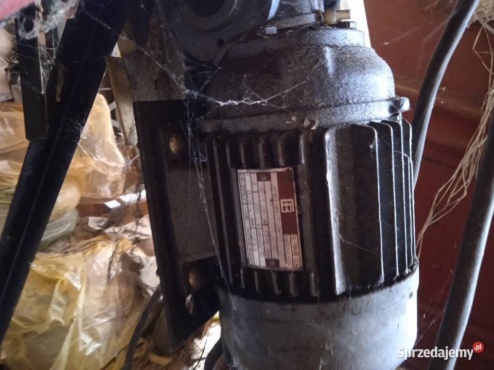 Łuskarka do bonu Dzierzbiętów Duży