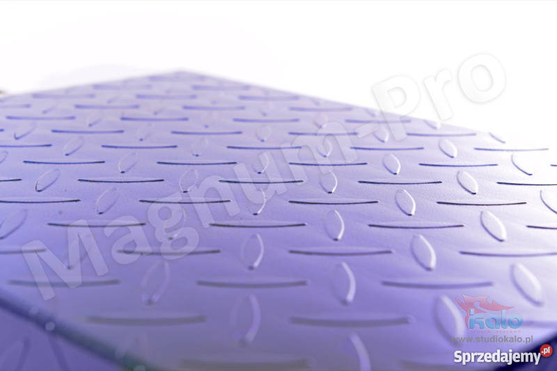 PRZEMYSŁOWA WAGA MAGAZYNOWA 100 SKŁADANA LICZĄCA Poczesna