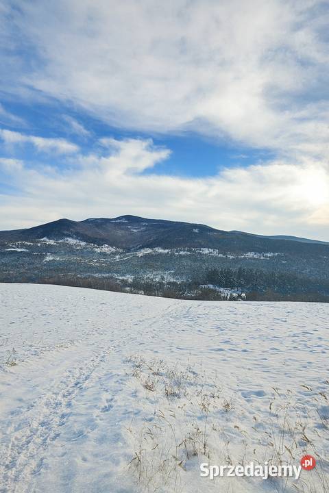 Wynajmę działki 3900m2 i 3300m2 w Górach Zawoja