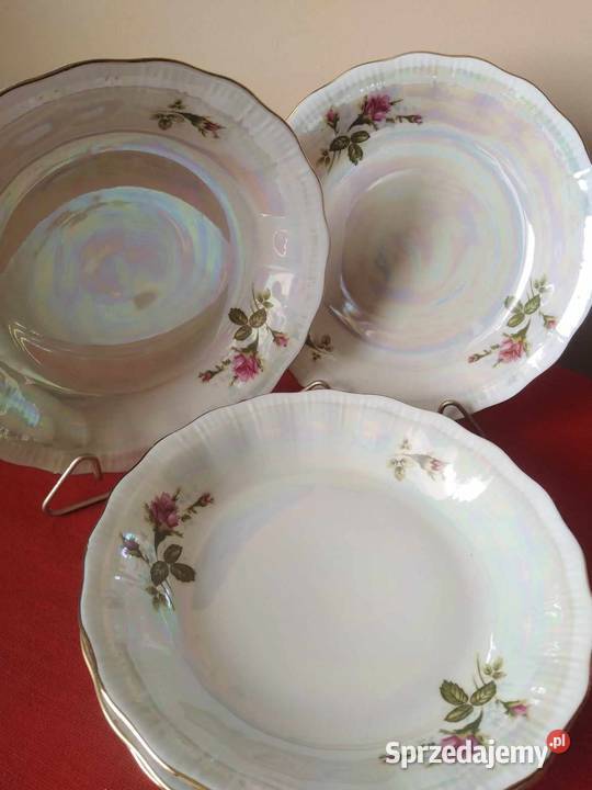 Talerze Głębokie Róża tęczowa Wałbrzych