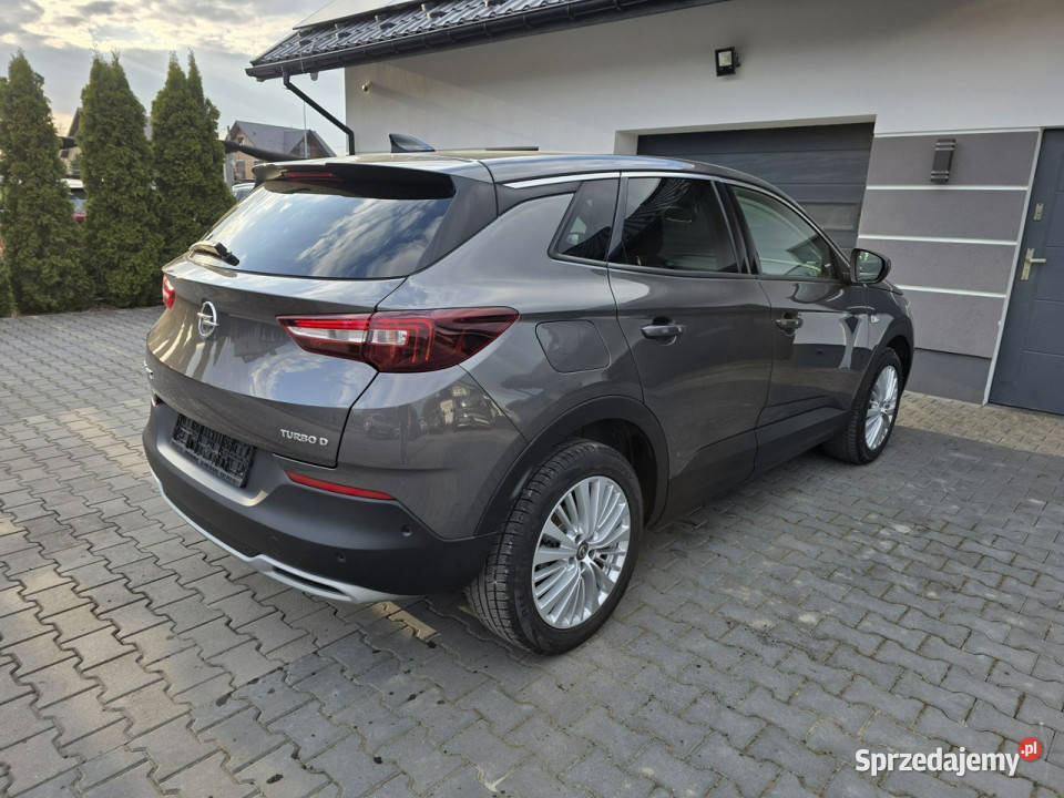 Opel Grandland X kamera cofania małopolskie Żabno