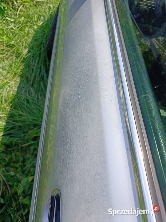 Drzwi Gołe Lewy Przód LY7W Audi A4 B5 FL a32 Drzwi Myszków
