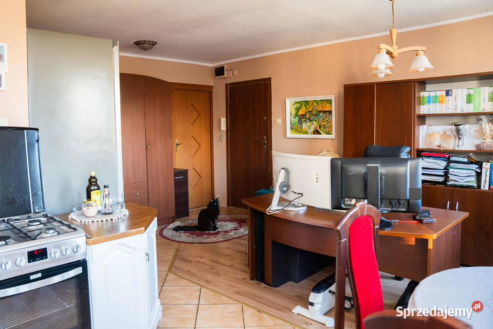 Idealne mieszkanie biuro w lokalizacji dolnośląskie Wrocław sprzedam