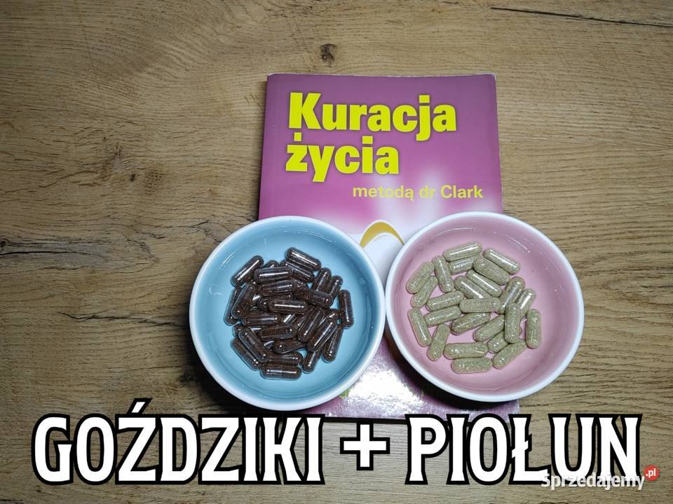 Goździki Piołun na Odrobaczanie H Clark Kuracja Pozostałe
