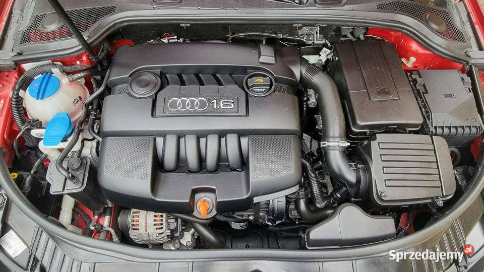 Audi A3 Sportback I właściciel 16 8v 102 Klima Płońsk