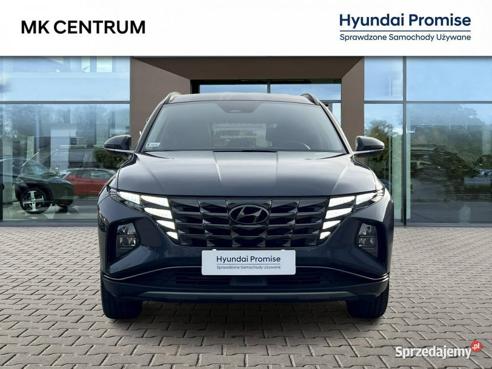 Hyundai Tucson 16TGDI HEV EXECUTIVE 2WD 230 Piotrków Trybunalski