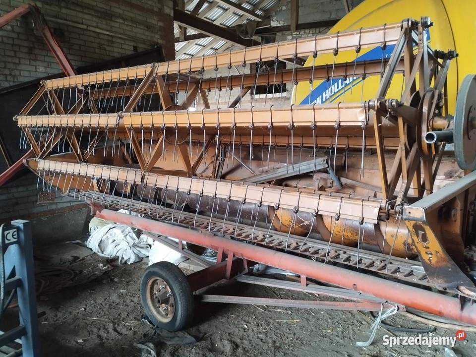 Bizon Z056 Łążki sprzedam