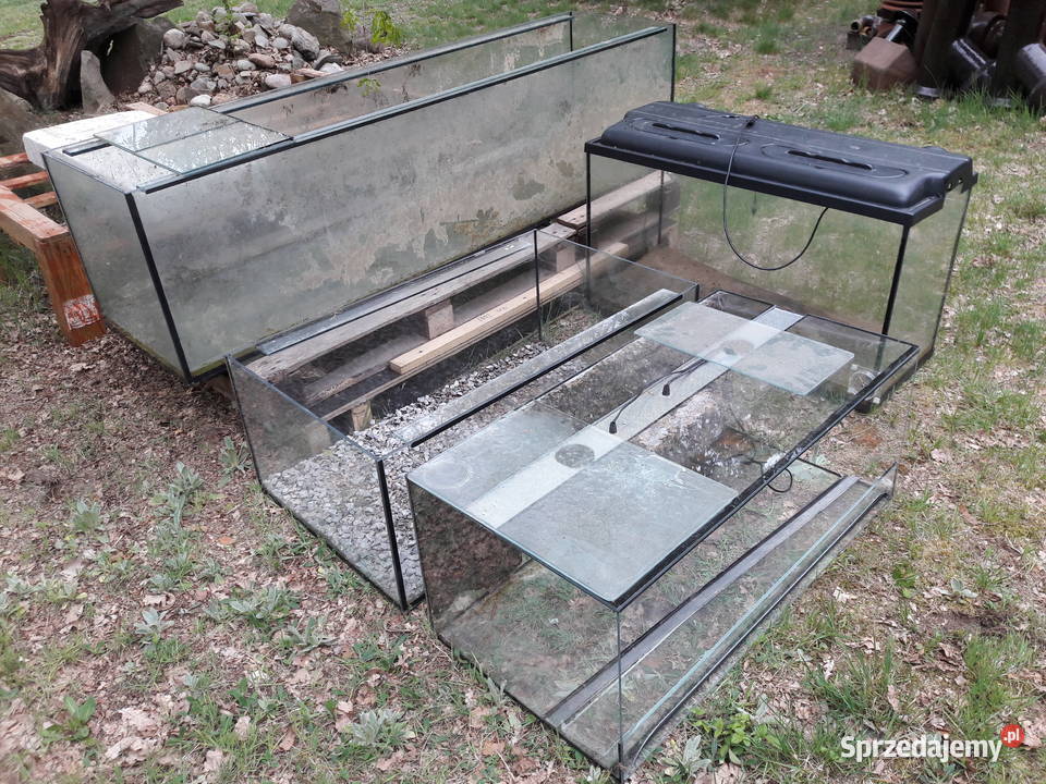 AKWARIUM 500 litrów i mniejsze terrarium Rzeszów