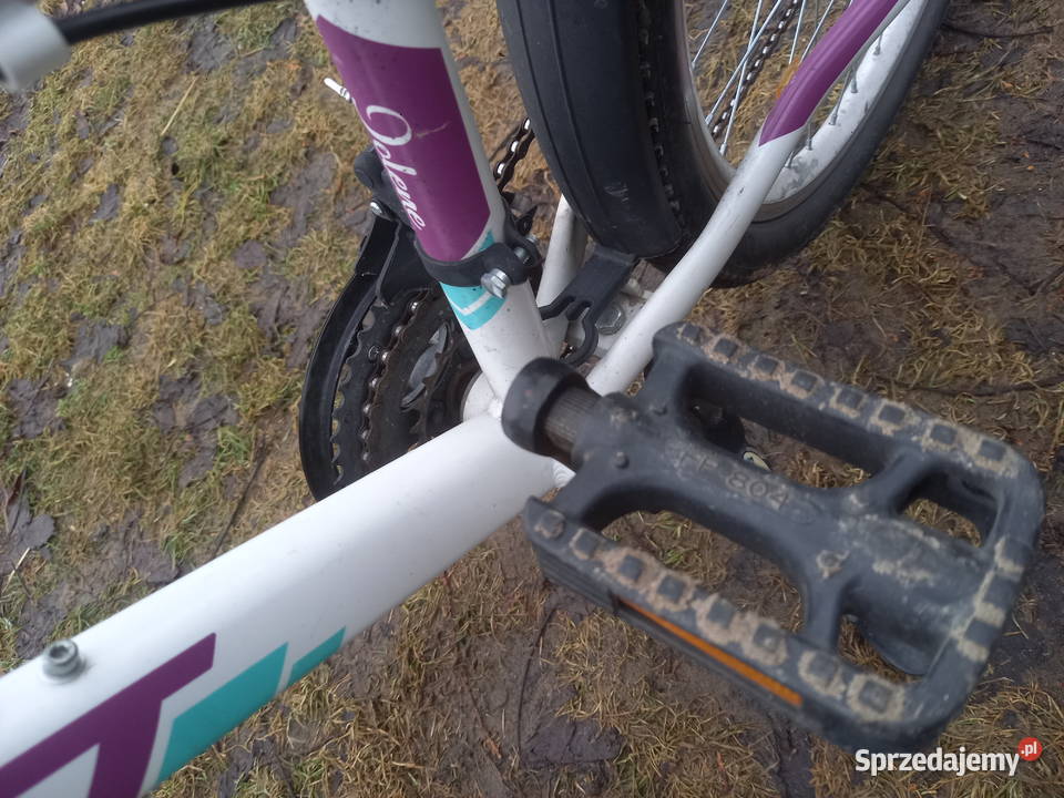 Rower ROMET JOLENE 24 Jędrzejów