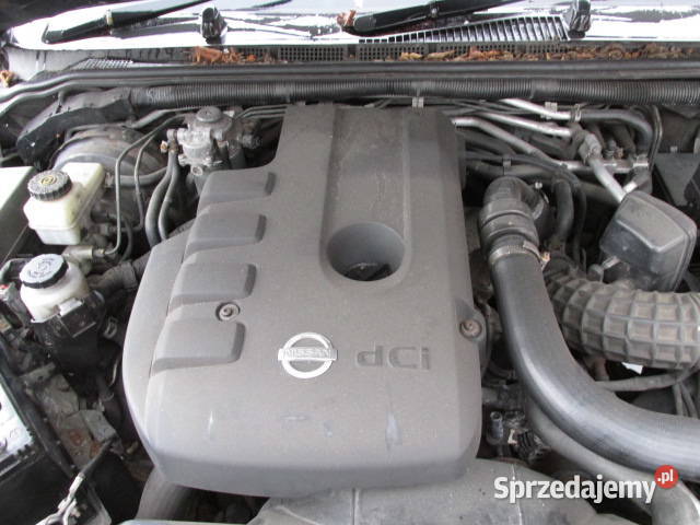 WSZYSTKIE CZĘŚCI Nissan Pathfinder R51 25 DCI Świdnica