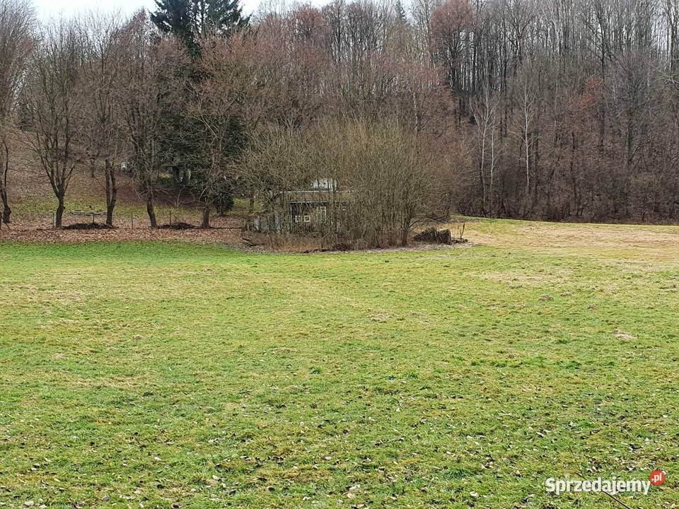 Działka 1677m wąwozie Rzeczyca Kolonia Kazimierz 1677m2 Kazimierz Dolny sprzedam