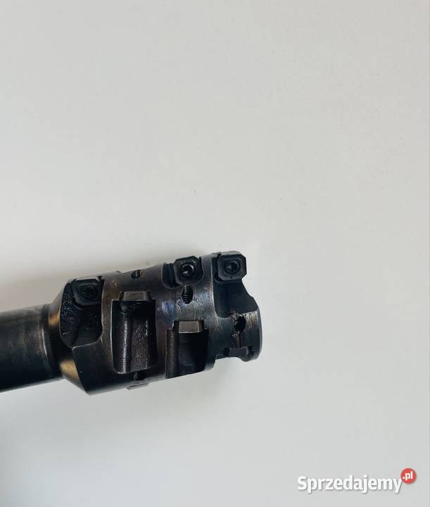 Frez jeżowy 4052 łódzkie Czarnożyły