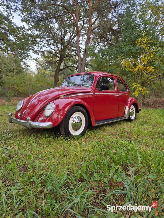 Volkswagen Garbus Dziadek do dopieszczenia 1963 mazowieckie
