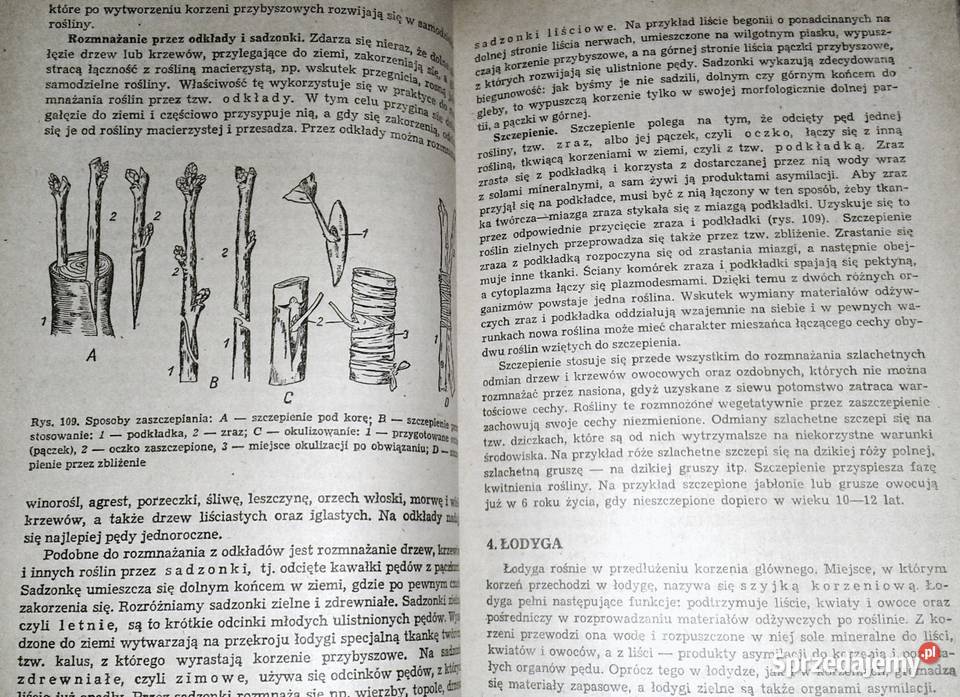 Botanika Jan Radomski Stanisław Tołpa Rok wydania 1982 Chełm
