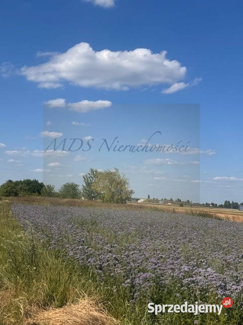 działka pod domy wolnostojące media mazowieckie Nowa Wola