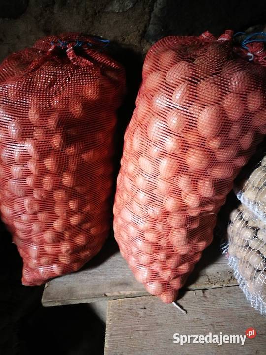 sprzedam ziemniaki paszowe Korycin