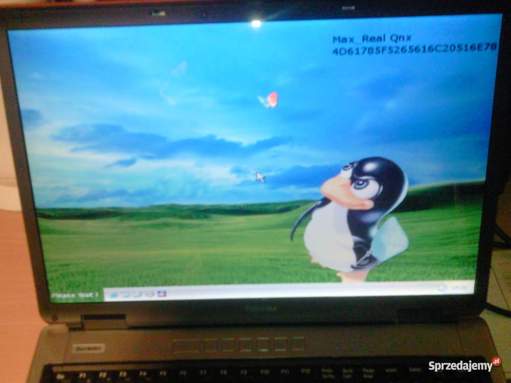 Toshiba Satellite P100 Bydgoszcz