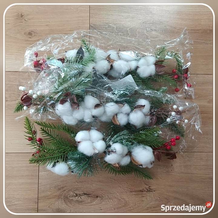 Gałązka bawełny dekoracyjna ostrokrzew Koszalin