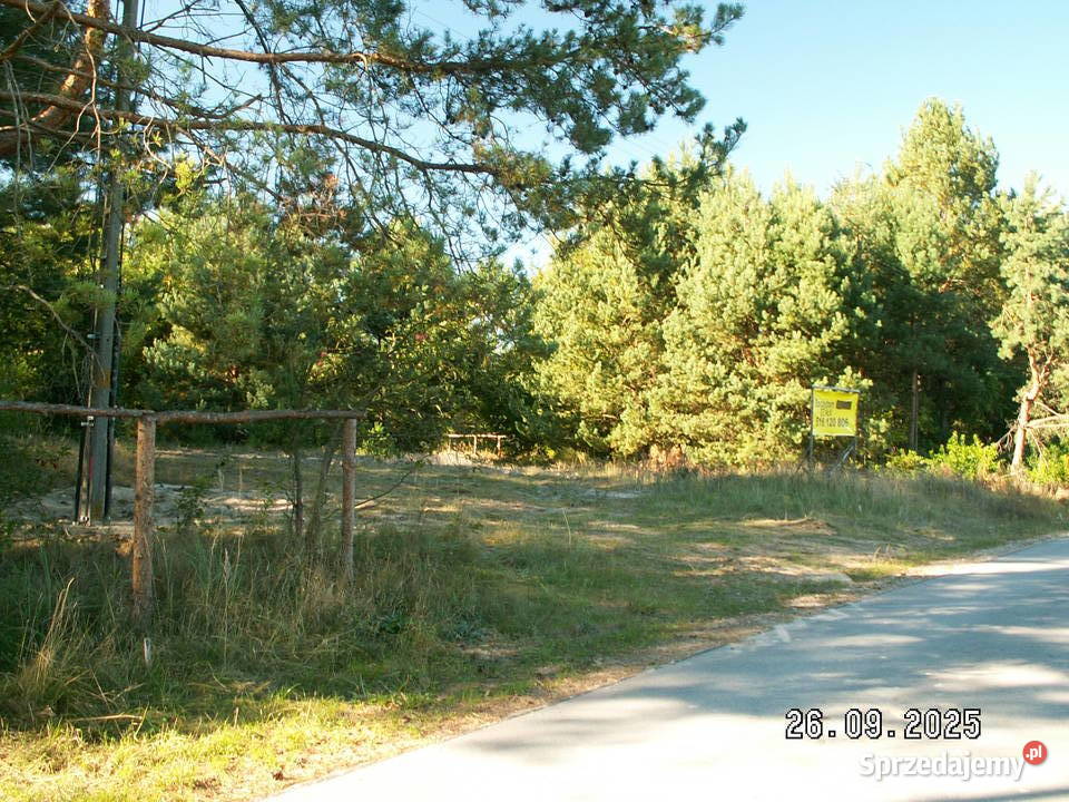 DZIAŁKI Roztocze Czarny Las Kolonia budowlana Czarny Las-Kolonia sprzedam