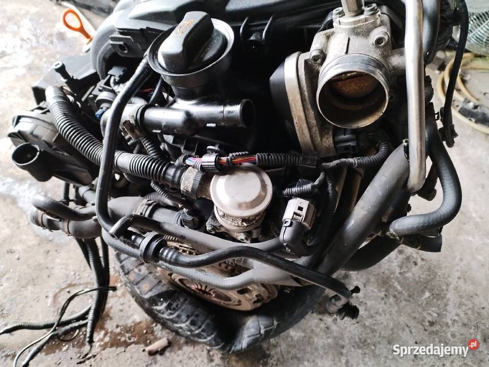 Silnik audi vw 16 mpi BGU Chęciny