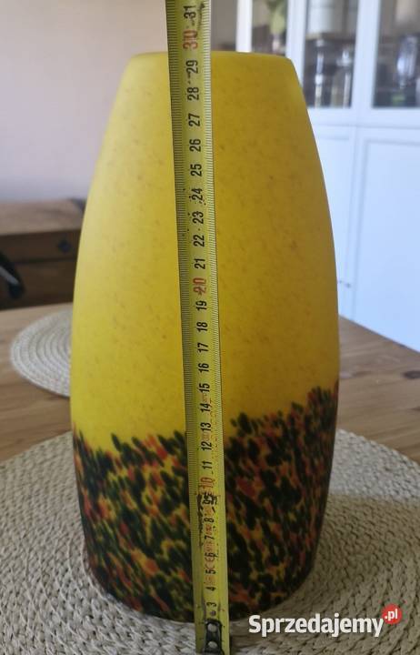 DWA SZKLANE KLOSZE zachodniopomorskie Świdwin sprzedam