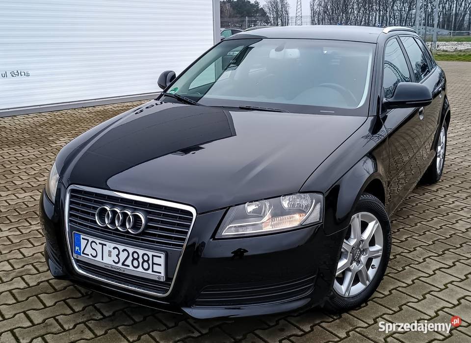 Audi A3 TDI Klima Grzane Fotele Nowe Opony Hatchback Stargard