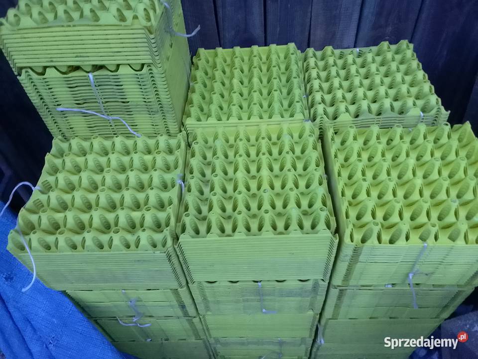 Wytłoczki plastikowe na jajka 630 Skrzynki i opakowania Kończyce Małe