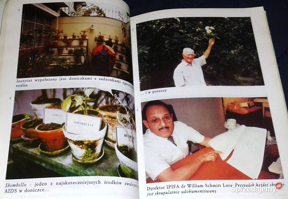 Vilcacora leczy raka Grzegorz Rybiński Roman Chełm sprzedam