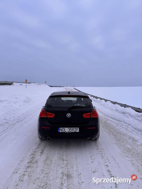 BMW Seria 1 2016 116i 15 Benzyna B38 warmińsko-mazurskie Olsztynek