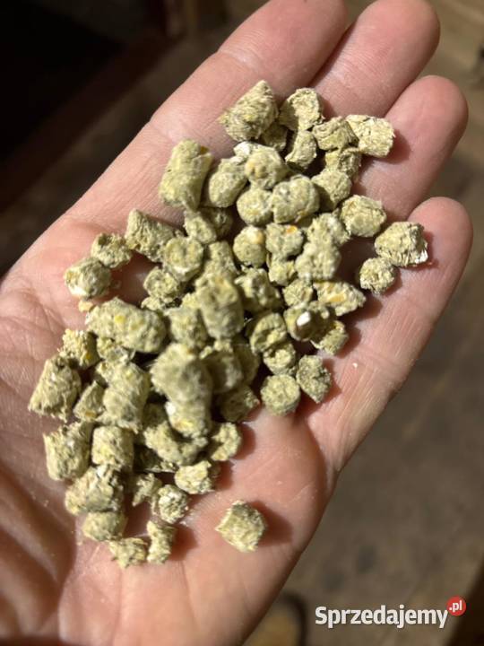 Pasza Koni Granulat Naturalne składniki Biłgoraj