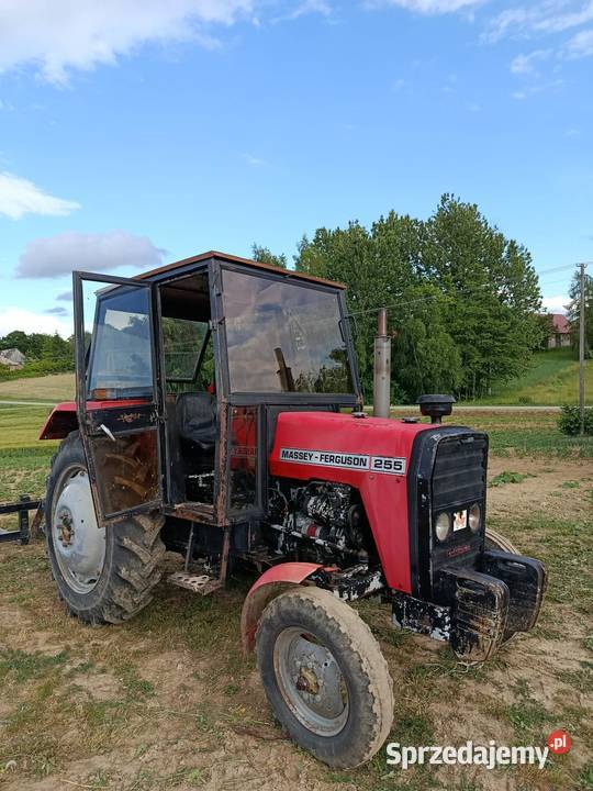 Ciągnik Massey Ferguson 255 1986 wszystkie lubelskie Uchanie
